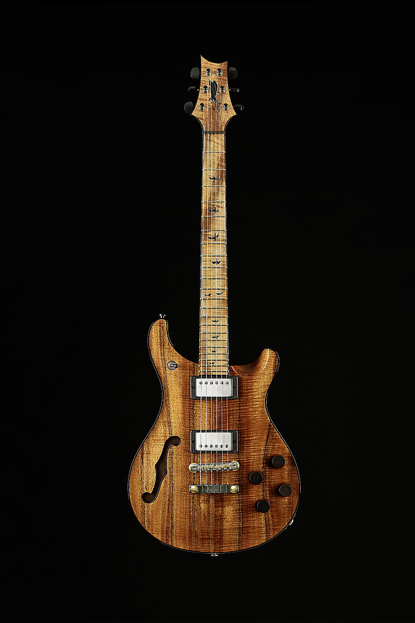 Private Stock McCarty 594 Semi-hollow with F-Hole #7972